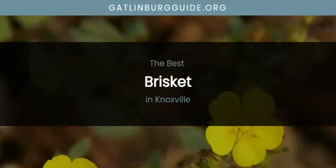 Knoxville's Best Brisket