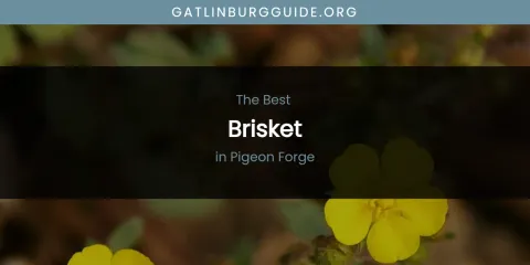 Pigeon Forge's Best Brisket