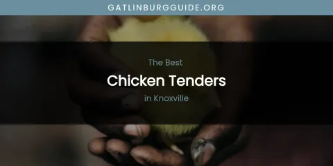 Knoxville's Best Chicken Tenders