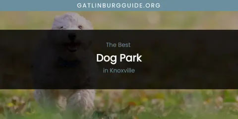 Knoxville's Best Dog Park