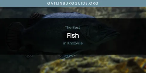 Knoxville's Best Fish